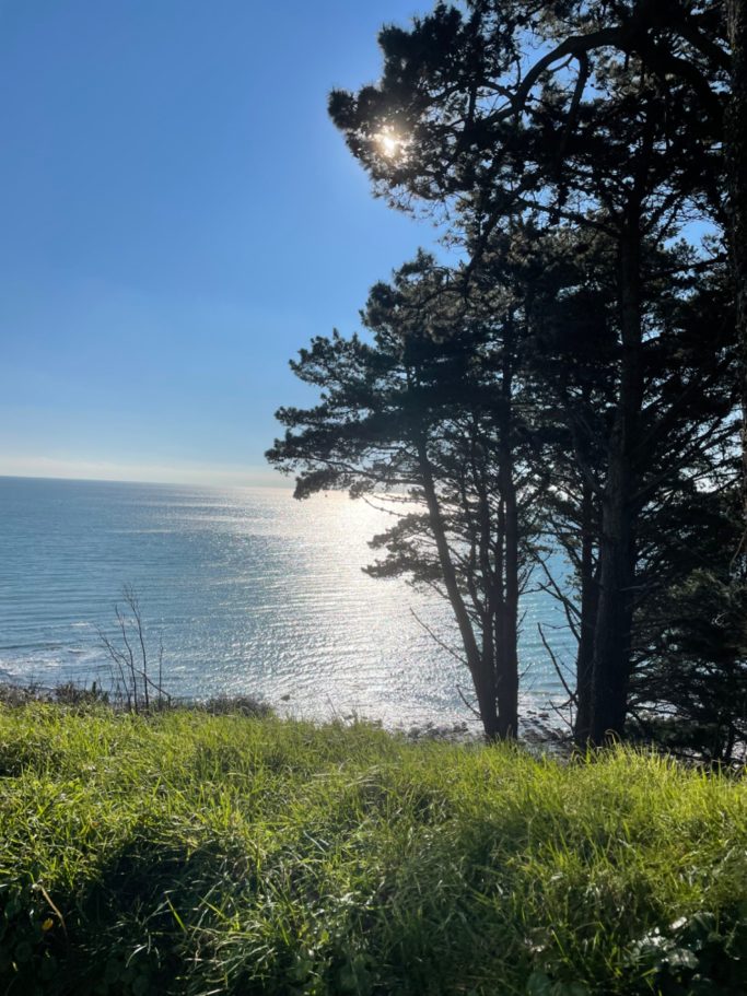 Coast Path March25