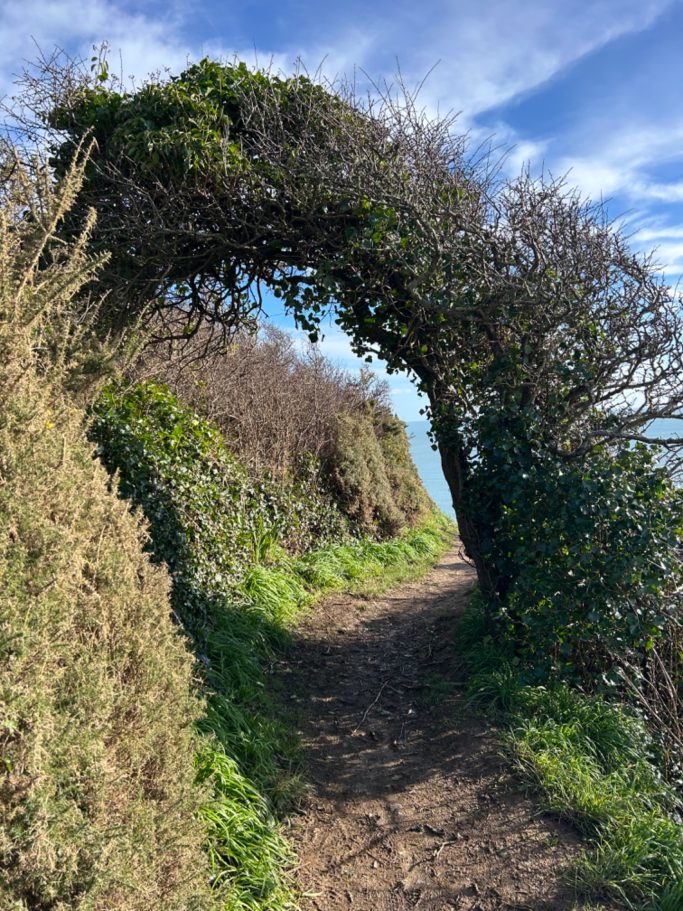 Coast Path April 25